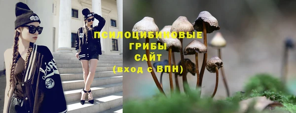 первитин Александровское