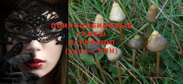 первитин Александровское