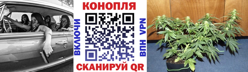 Марихуана MAZAR  Купить закладки  Назарово 